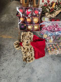 Christmas Decorations & More - thumbnail 2 of 13