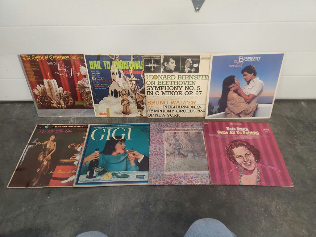 Records Lot - image 11 of 13