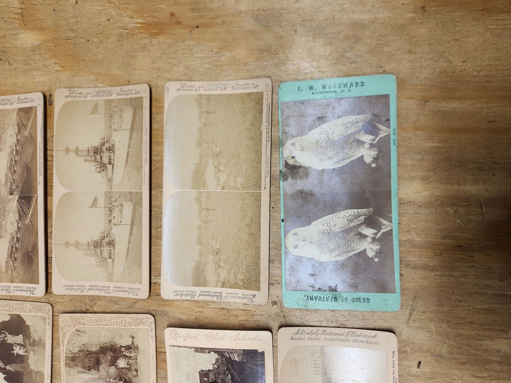 Stereoscopic Viewer & Cards - image 11 of 16