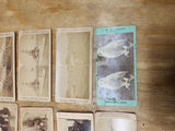 Stereoscopic Viewer & Cards - thumbnail 11 of 16