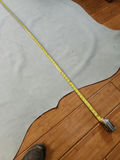 Cow Hide - thumbnail 10 of 10