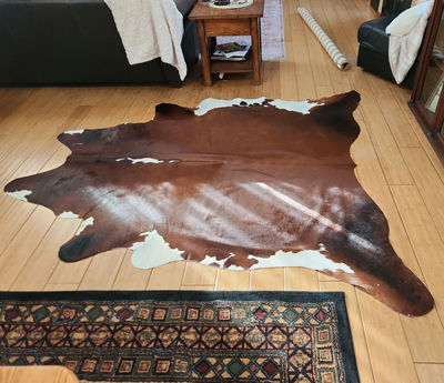Cow Hide - Image 1 of 10