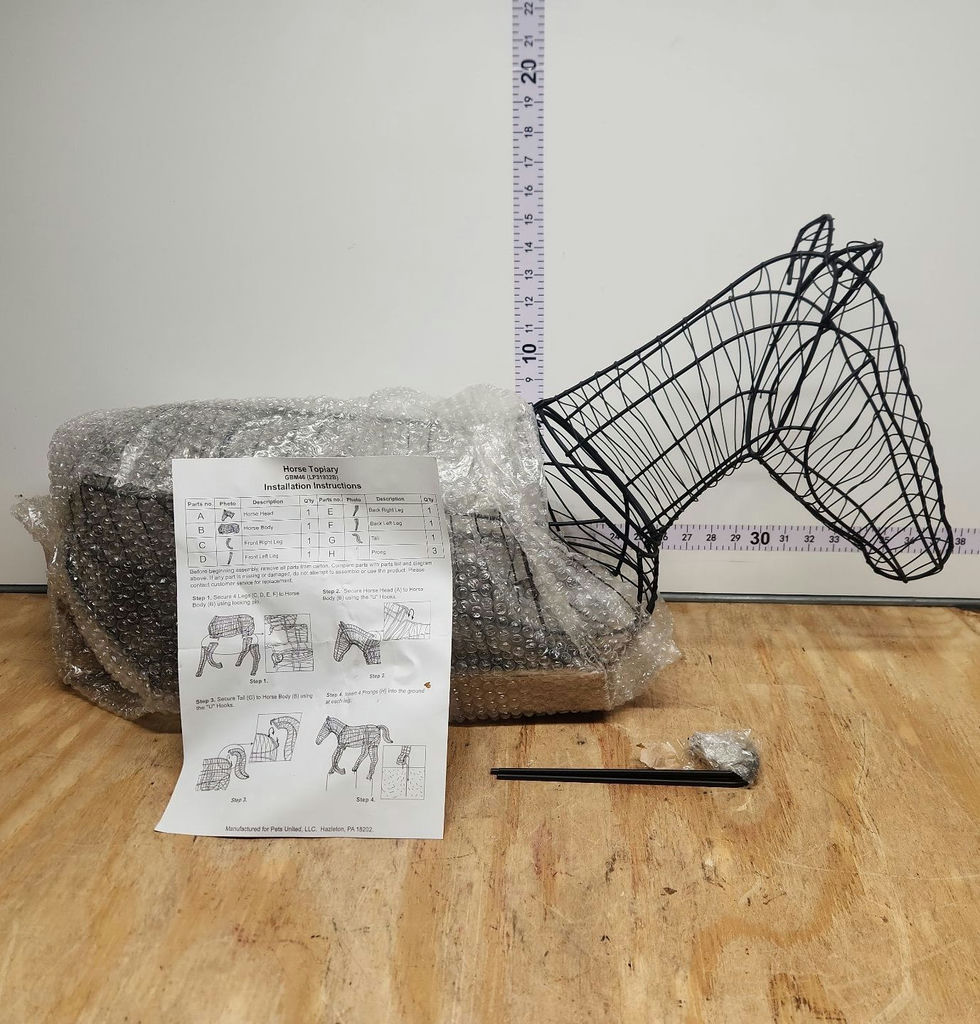 Horse Topiary Frame - image 1 of 7