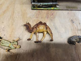 Chialu Italy Nativity - thumbnail 8 of 16