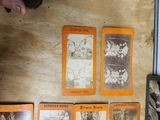 Stereoscopic Viewer & Cards - thumbnail 16 of 16