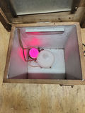 Antique Rodson Slide Viewer Editor - thumbnail 6 of 15