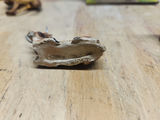 Chialu Italy Nativity - thumbnail 16 of 16