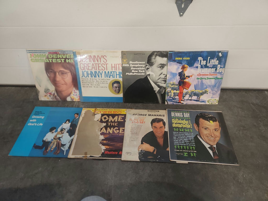 Records Lot - image 12 of 13