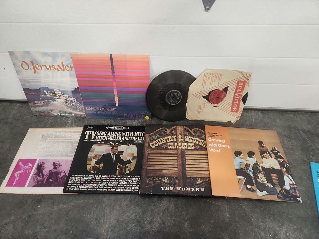 Records Lot - image 8 of 13