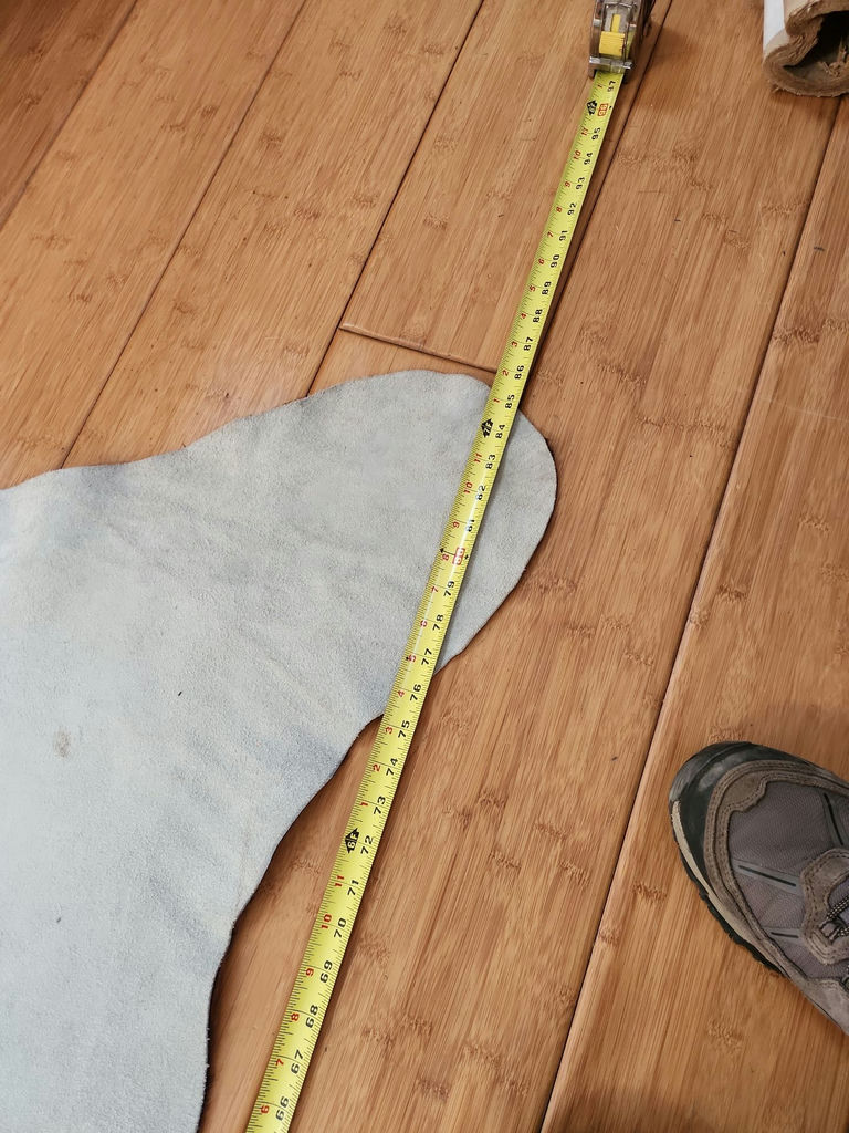 Cow Hide - image 9 of 10