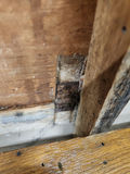 Early Pine Drop Leaf Table - thumbnail 15 of 23