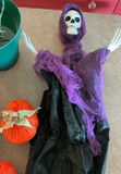 Lit Christmas tree, Halloween skeleton, and decorative pumpkins - thumbnail 2 of 3