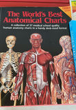 Anatomy, Healing, Reiki, and Yoga Books and DVDs - thumbnail 2 of 8