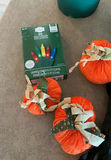 Lit Christmas tree, Halloween skeleton, and decorative pumpkins - thumbnail 3 of 3
