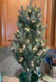 Lit Christmas tree, Halloween skeleton, and decorative pumpkins - thumbnail 1 of 3