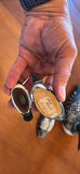 Decorative carved wooden duck figurines (various sizes) - thumbnail 5 of 5