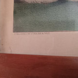 Antique Framed Currier & Ives Cat Prints - thumbnail 3 of 19