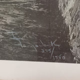 I.H. Farnsworth Framed Snow Leopards Print - thumbnail 5 of 7