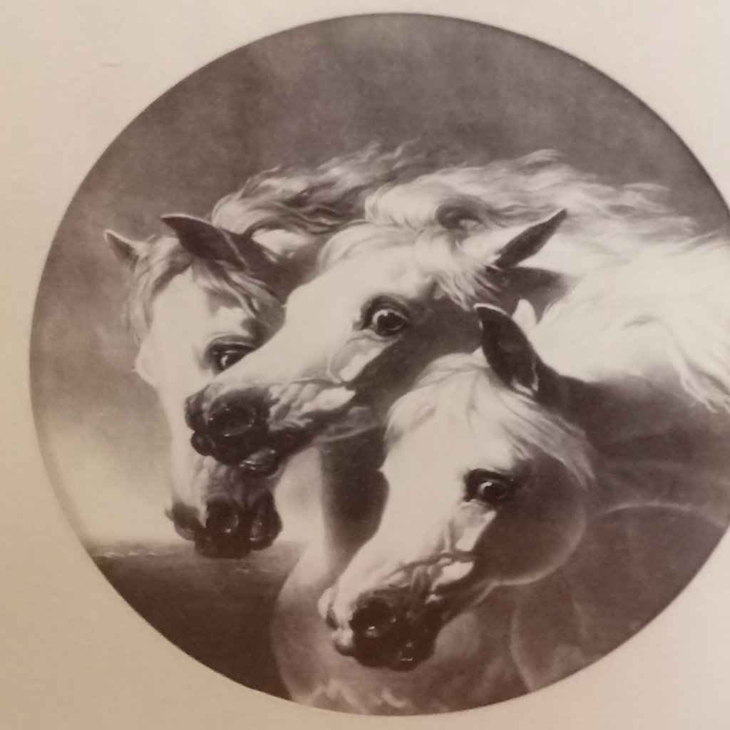 Pharoah's Horses Antique Black & White Prints - image 7 of 12