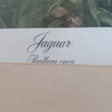  I.H. Farnsworth Framed Jaguar Print - thumbnail 3 of 6