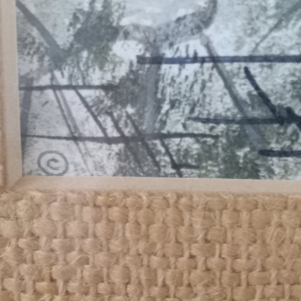 I.H. Farnsworth Framed Melanistic Leopard Print - image 5 of 10