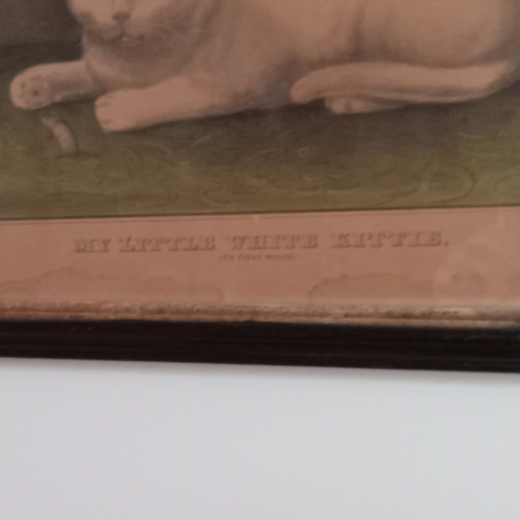 Antique Framed Currier & Ives Cat Prints - image 16 of 19