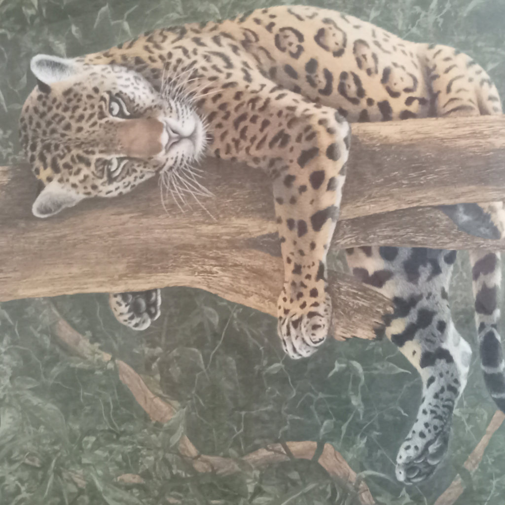  I.H. Farnsworth Framed Jaguar Print - image 1 of 6