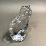 Mas Gatos - thumbnail 8 of 9