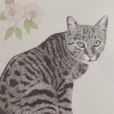 Carol Collette Framed Cat Print - Image 1 of 8