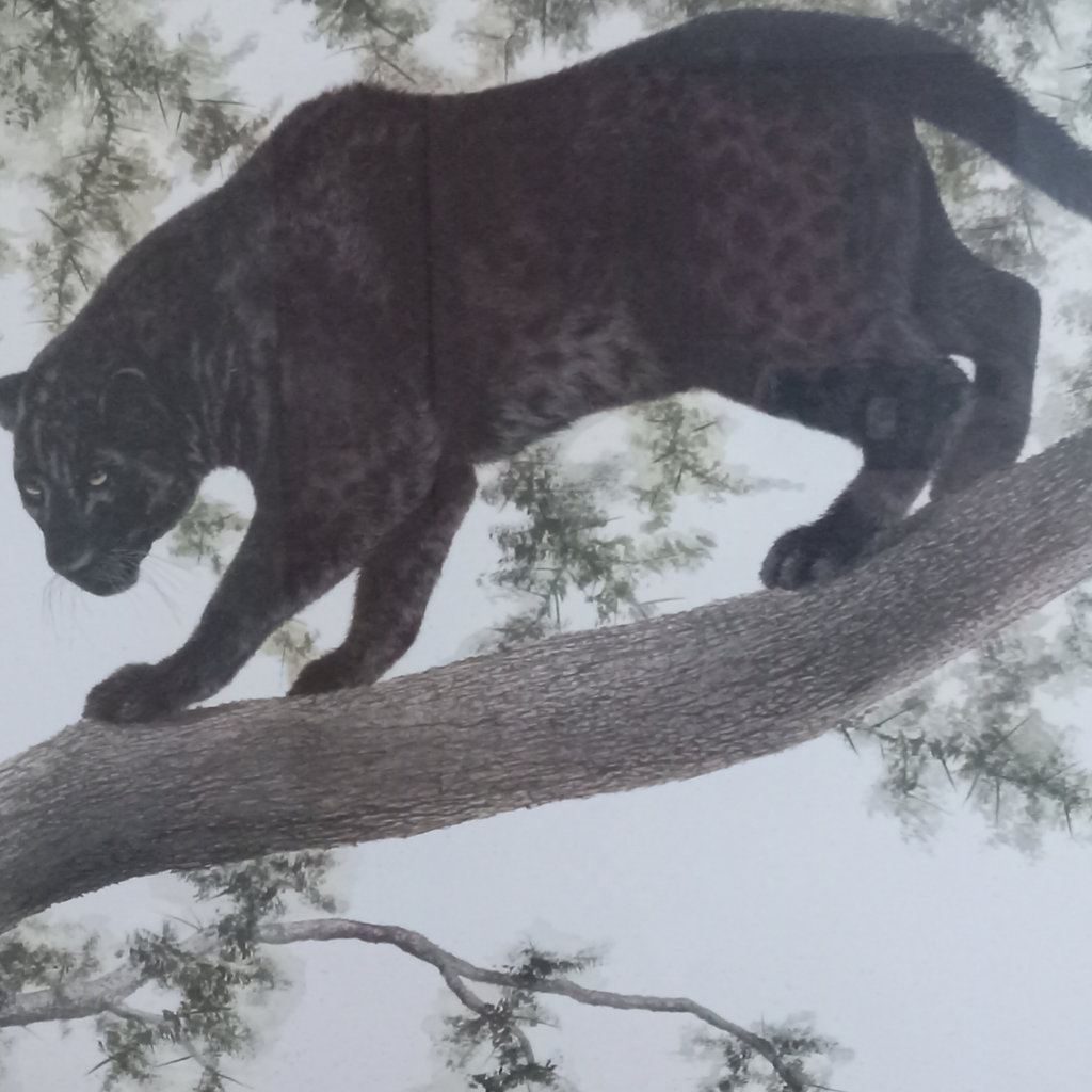 I.H. Farnsworth Framed Melanistic Leopard Print - image 3 of 10