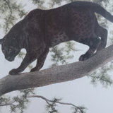 I.H. Farnsworth Framed Melanistic Leopard Print - thumbnail 3 of 10