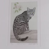 Carol Collette Framed Cat Print - thumbnail 3 of 8
