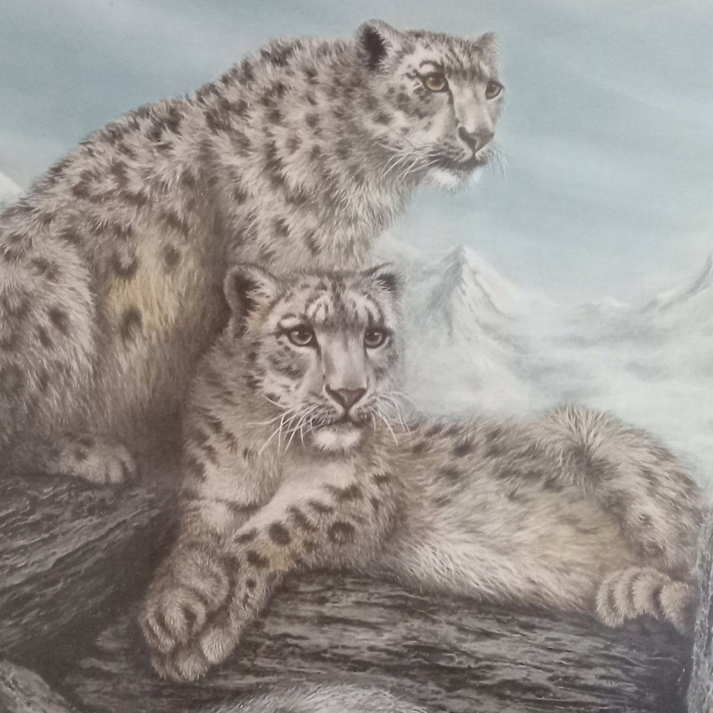 I.H. Farnsworth Framed Snow Leopards Print - image 1 of 7