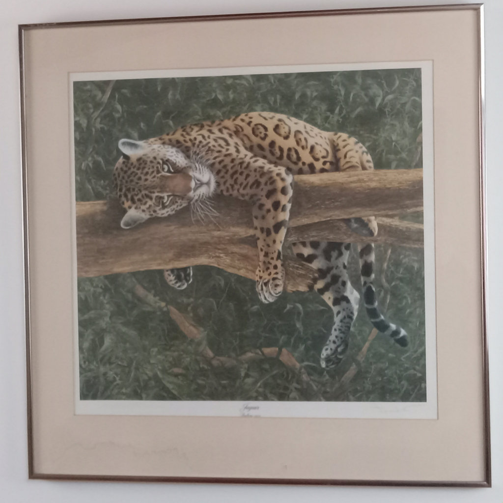  I.H. Farnsworth Framed Jaguar Print - image 2 of 6