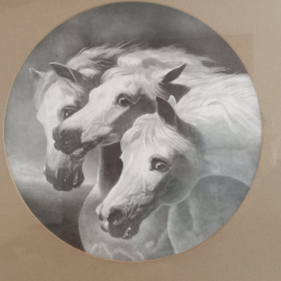 Pharoah's Horses Antique Black & White Prints - Image 1 of 12