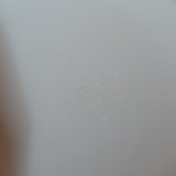 Vintage Pyrex - Amish Butterprint - thumbnail 9 of 11