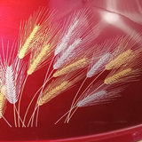 Vintage Pyrex - Autumn Wheat - thumbnail 12 of 14