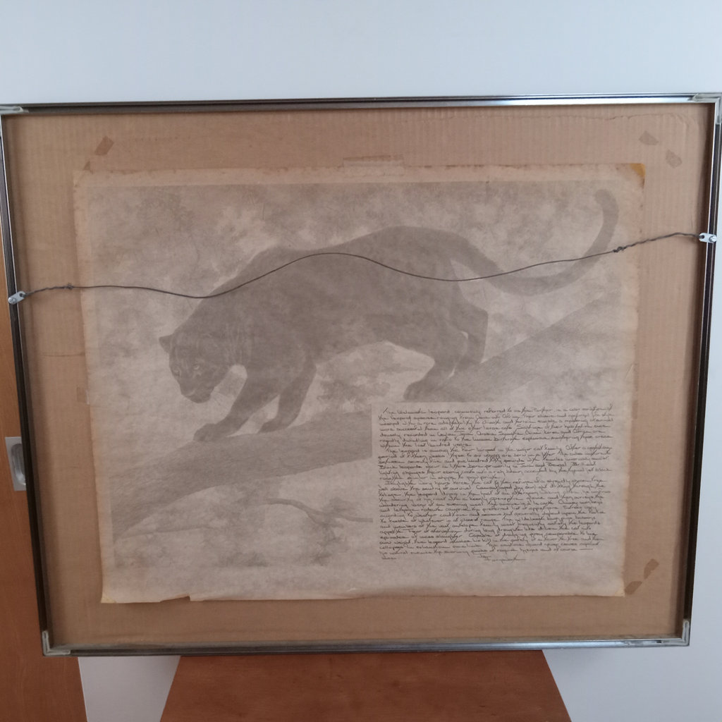 I.H. Farnsworth Framed Melanistic Leopard Print - image 8 of 10