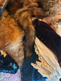 Lot of Antique Clothing, Some Very Early Pieces, Circa. 1850's - thumbnail 4 of 5