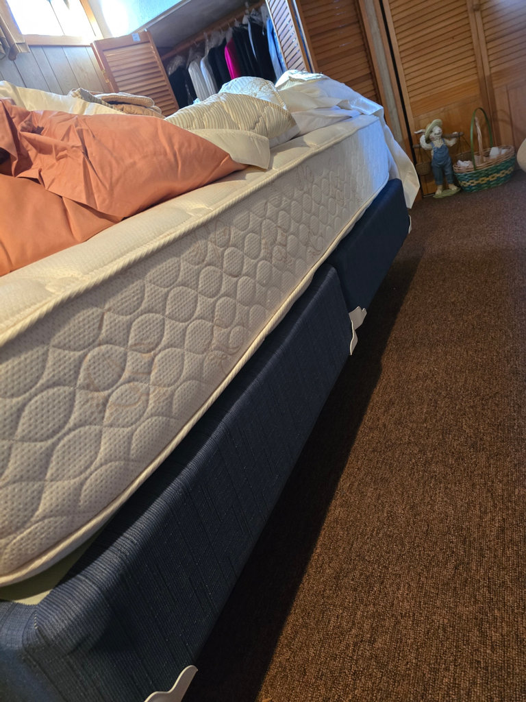 King Bedframe with optional Mattress and split box springs - image 1 of 5