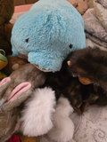 Assorted Plush Toys - thumbnail 3 of 10
