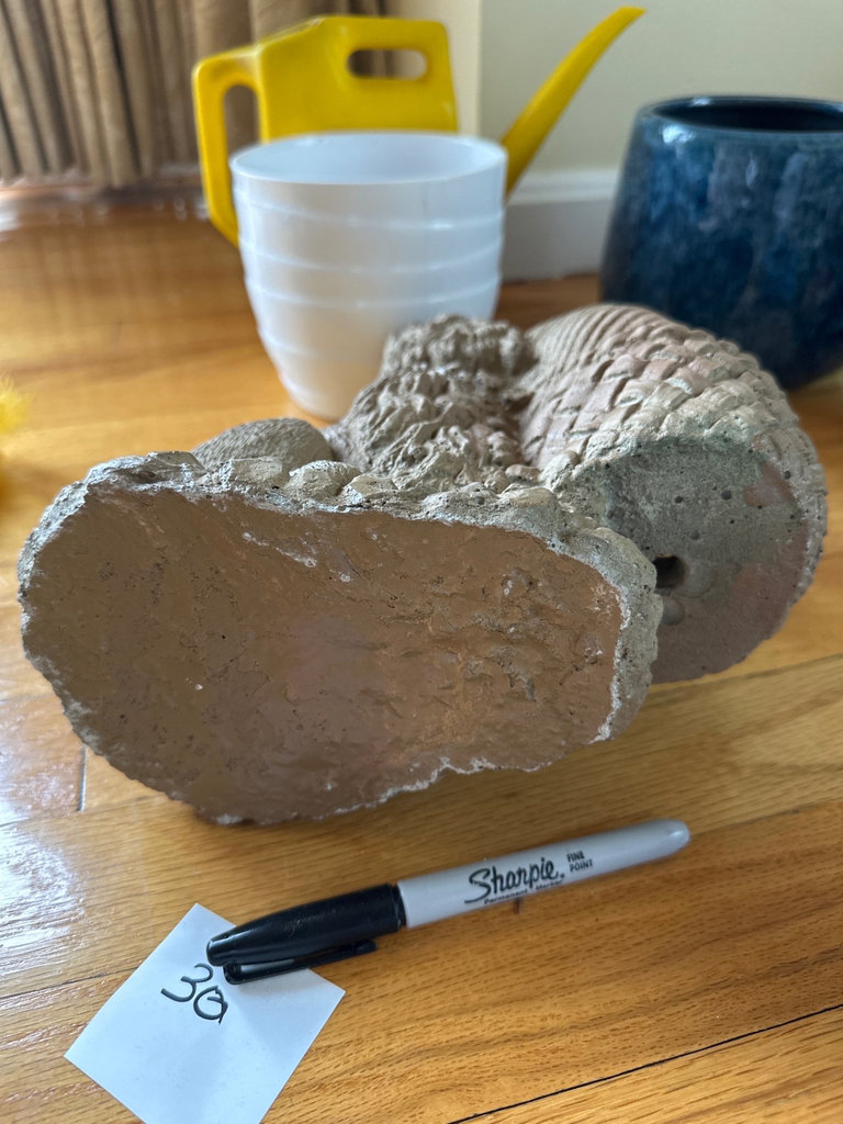 Garden decor, Planters, Rock and seashell collection - image 4 of 15