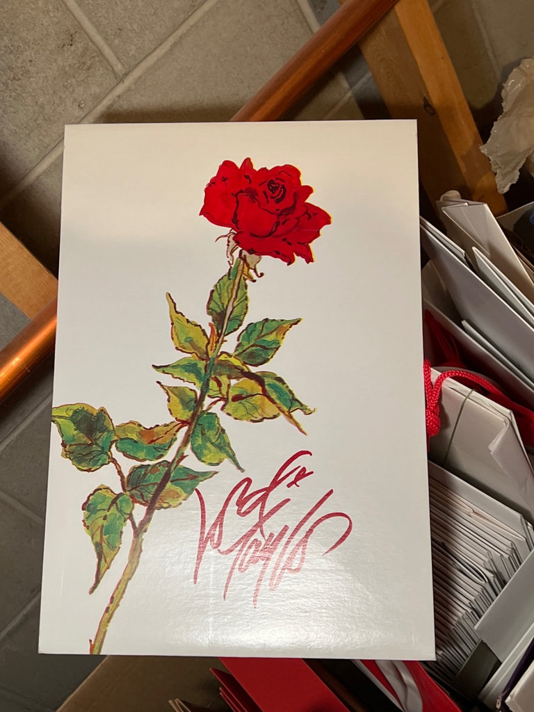 Gift Wrapping Supplies and Greeting Cards Collection - image 6 of 8
