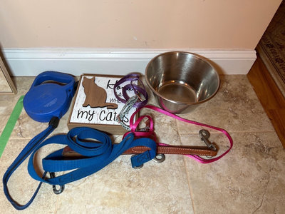 Pet accessories including leashes, collars, bowl, and sign - Image 1 of 3