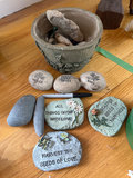 Garden decor, Planters, Rock and seashell collection - thumbnail 14 of 15