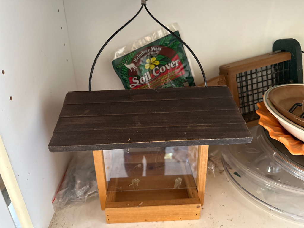 Bird feeders, more  - image 5 of 8