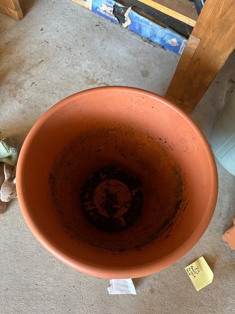 Garden Pots, Planters, and Tools - image 8 of 14