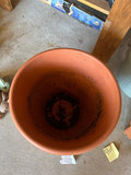Garden Pots, Planters, and Tools - thumbnail 8 of 14
