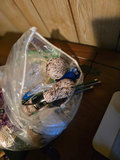 Singer sewing machine with knitting books and craft supplies - thumbnail 9 of 21