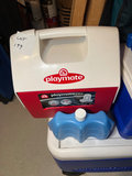 Assorted coolers and ice packs - thumbnail 6 of 6
